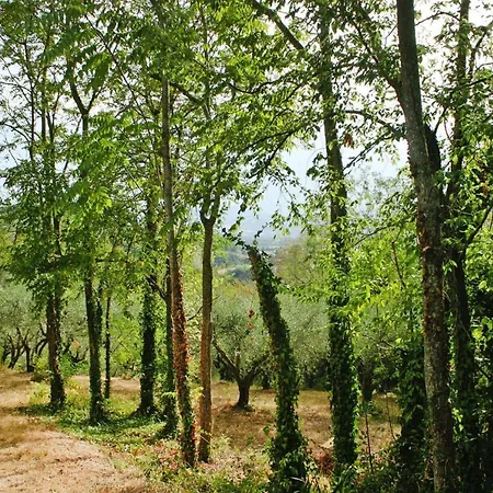 Dei Pavoni, Montemaggiore With Private Pool Holiday home *