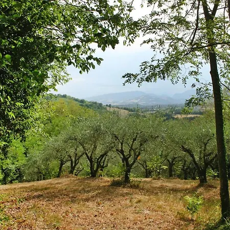 Dei Pavoni, Montemaggiore With Private Pool