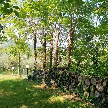 In Fano With Private Pool Montemaggiore al Metauro